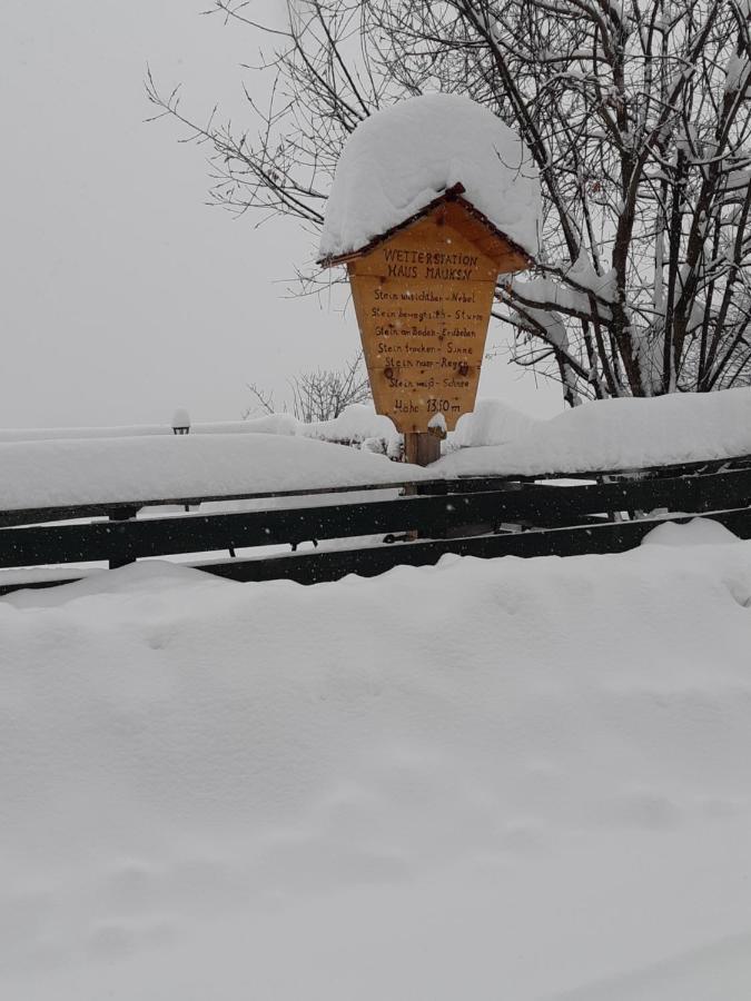 Haus Mauken - Appartments Mit Panoramablick Murau Bagian luar foto