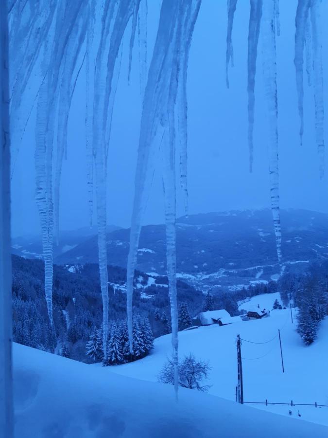 Haus Mauken - Appartments Mit Panoramablick Murau Bagian luar foto