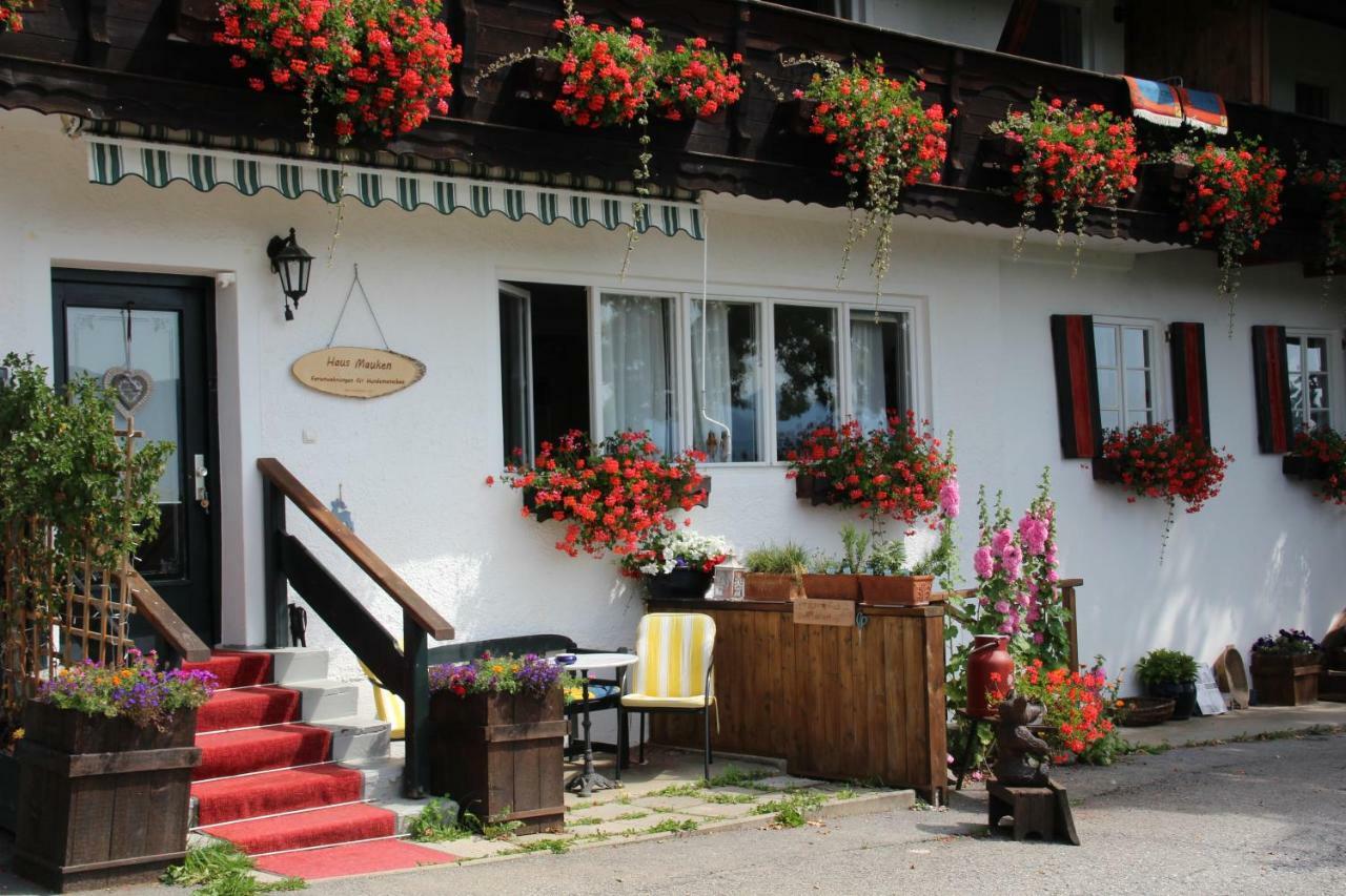 Haus Mauken - Appartments Mit Panoramablick Murau Bagian luar foto