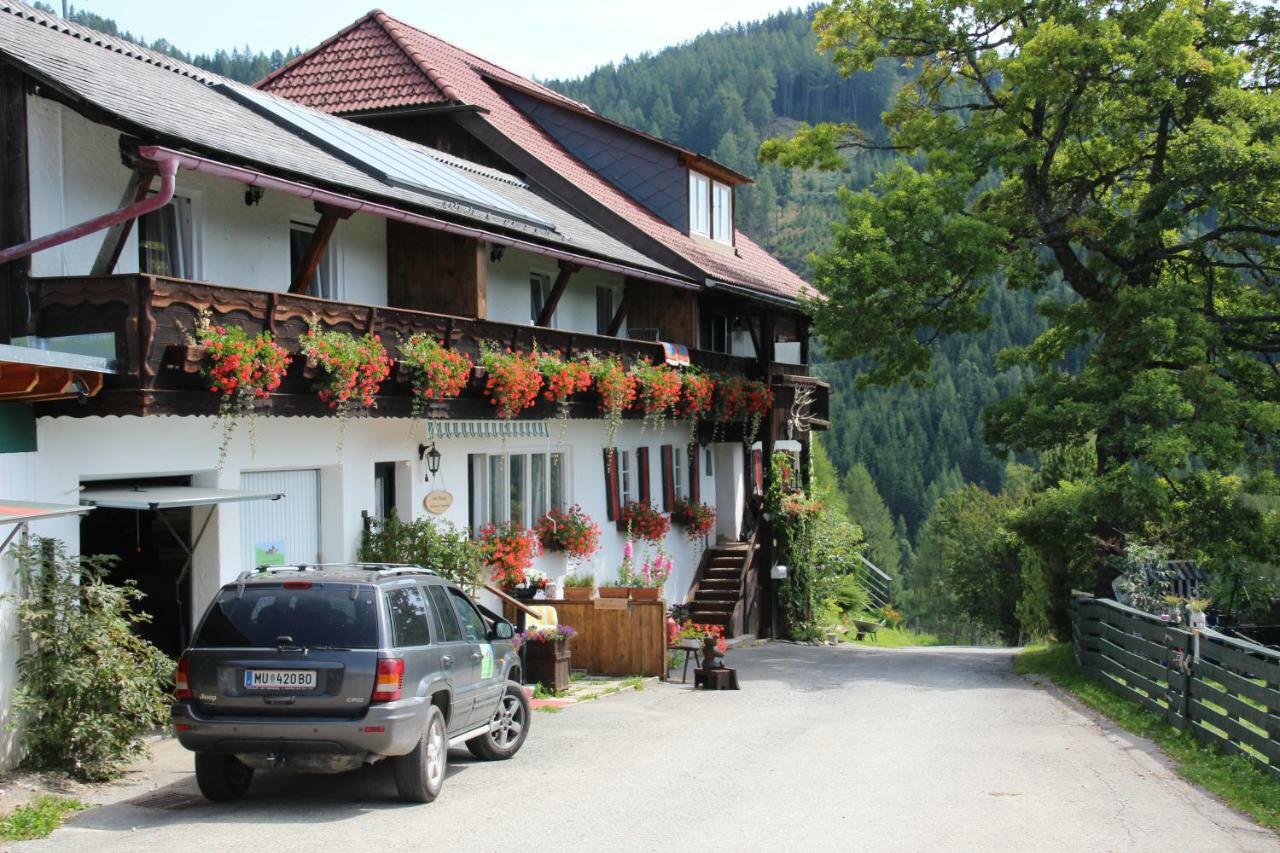 Haus Mauken - Appartments Mit Panoramablick Murau Bagian luar foto