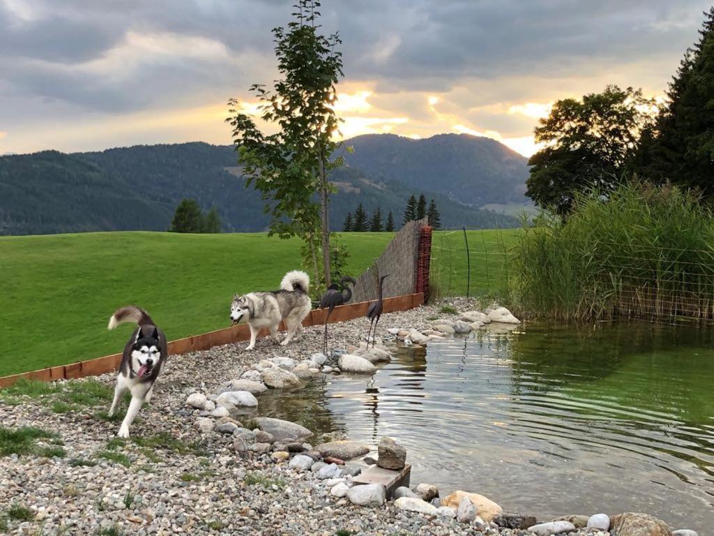 Haus Mauken - Appartments Mit Panoramablick Murau Bagian luar foto