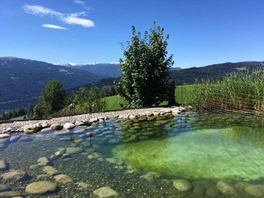 Haus Mauken - Appartments Mit Panoramablick Murau Bagian luar foto